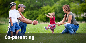 Co-parenting Link