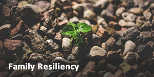 link to family resiliency site