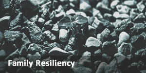 link to family resiliency site