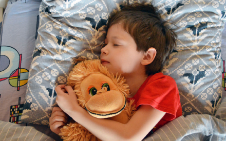 A child in a red shirt peacefully sleeps in bed, hugging a plush monkey toy. The bedding features geometric patterns, conveying warmth and comfort.