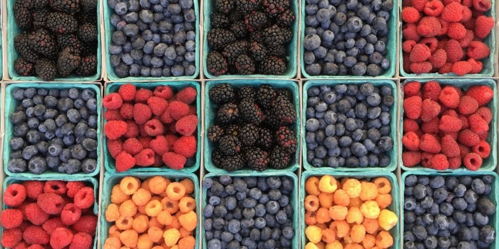 Alt text: "A grid of small baskets containing fresh berries, including blueberries, blackberries, red raspberries, and golden raspberries, creating a vibrant and colorful pattern."